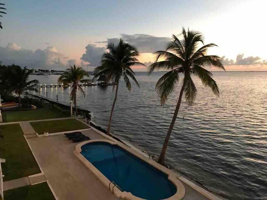 Flamingo By Andiani Travel Apartment Cancun Exterior photo