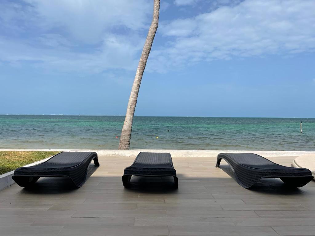 Flamingo By Andiani Travel Apartment Cancun Exterior photo